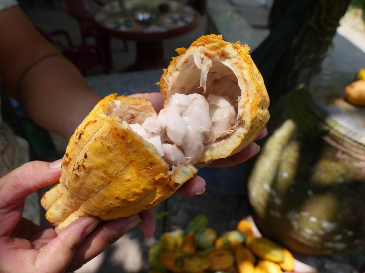 Thanh Ha Guesthouse Cần Thơ Kültér fotó